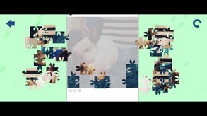 Athena, the rabbit - Jigsaw Puzzle screenshot thumbnail video