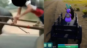 Видео