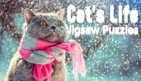 Cat's Life Jigsaw Puzzles screenshot thumbnail video