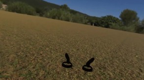 VR Chinese Garden Tour (HD): Flying as a dragonfly screenshot thumbnail video