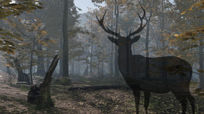 Pro Deer Hunting 2 screenshot thumbnail video