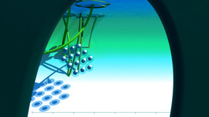 Markerboard Jungle: Frogs screenshot thumbnail video