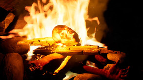 Early Access Trailer