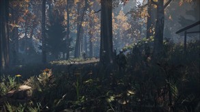 Duty in the Forest screenshot thumbnail video