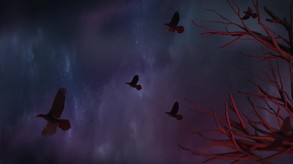 Whispered Secrets: Ripple of the Heart Collector's Edition screenshot thumbnail video