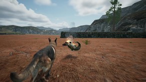 Dog_Fox_Bunny screenshot thumbnail video