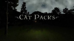 Cat Packs