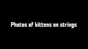 Selection Process trailer