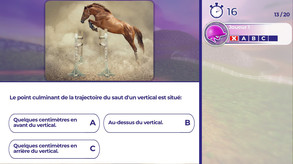 Equestrian Training screenshot thumbnail video