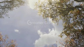 Nature Treks: Together