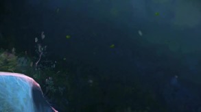 Chimeras: Cursed and Forgotten Collector's Edition screenshot thumbnail video