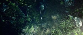 CROWZ — cinematic trailer thumbnail