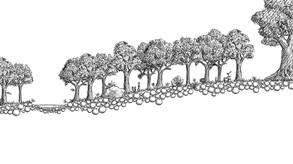 A Winding Path screenshot thumbnail video