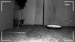 DUMB: Treasure screenshot thumbnail video