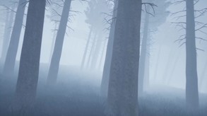 Memories Of Loneliness