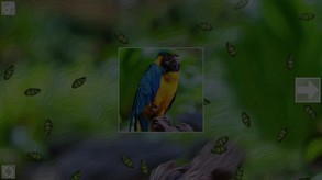 Puzzle Art: Birds screenshot thumbnail video