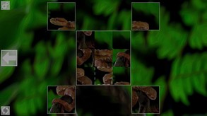 Puzzle Art: Snakes screenshot thumbnail video