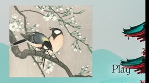 Pieces of Beauty screenshot thumbnail video