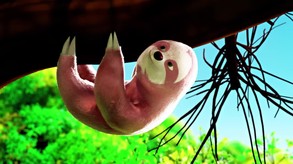 Go Slo Launch Trailer