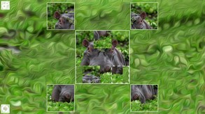 Puzzle Art: Artiodactyls screenshot thumbnail video