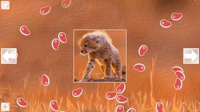 Puzzle Art: Predators screenshot thumbnail video