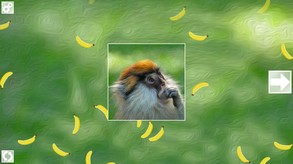 Puzzle Art: Primates screenshot thumbnail video