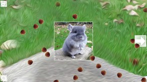 Puzzle Art: Rodents screenshot thumbnail video