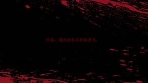 知更鸟-The Robin