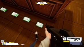 Insane Town Overview