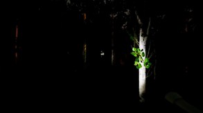 Violation Gameplay Trailer