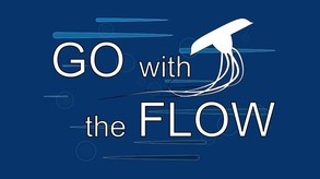 GO with the FLOW screenshot thumbnail video