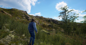 Terrain