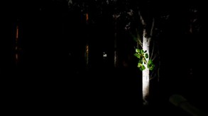 Violation Launch Trailer