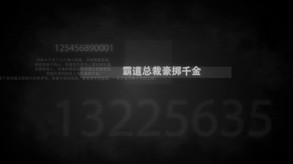 我就是要红宣传片