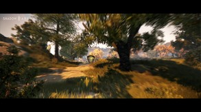 Shadow Arena screenshot thumbnail video