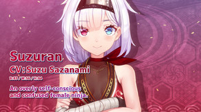 NinNinDays2 screenshot thumbnail video