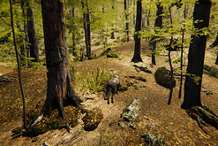 Overview of Animals 3