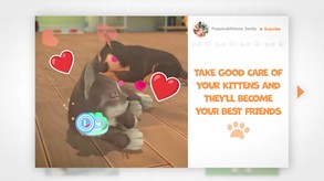 My Universe - Puppies & Kittens screenshot thumbnail video
