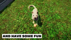 Animal Shelter - DATE REVEAL Trailer