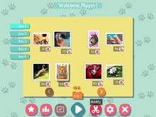 1001 Jigsaw. Cute Cats