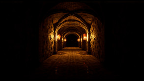 The Thief In The Dark.