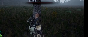 Chopping Tree