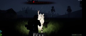 Killing Enemy