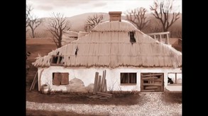 Pet Vet 3D Animal Hospital screenshot thumbnail video