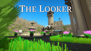 The Looker