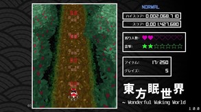 Wonderful Waking World J