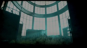 Acanthoceras screenshot thumbnail video