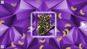 Poly Puzzle Primates Trailer
