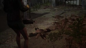 Video 2