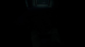 Omitted screenshot thumbnail video